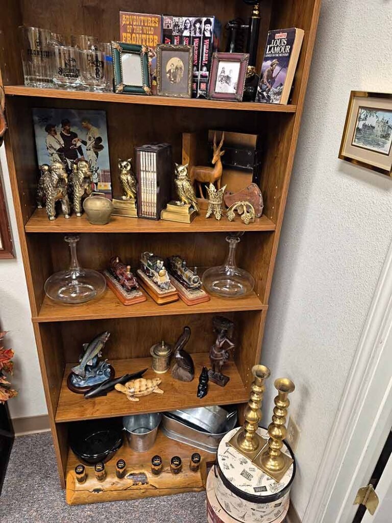 MY WIFE & HER CRAZY IDEAS - mywifeandhercrazyideas.com