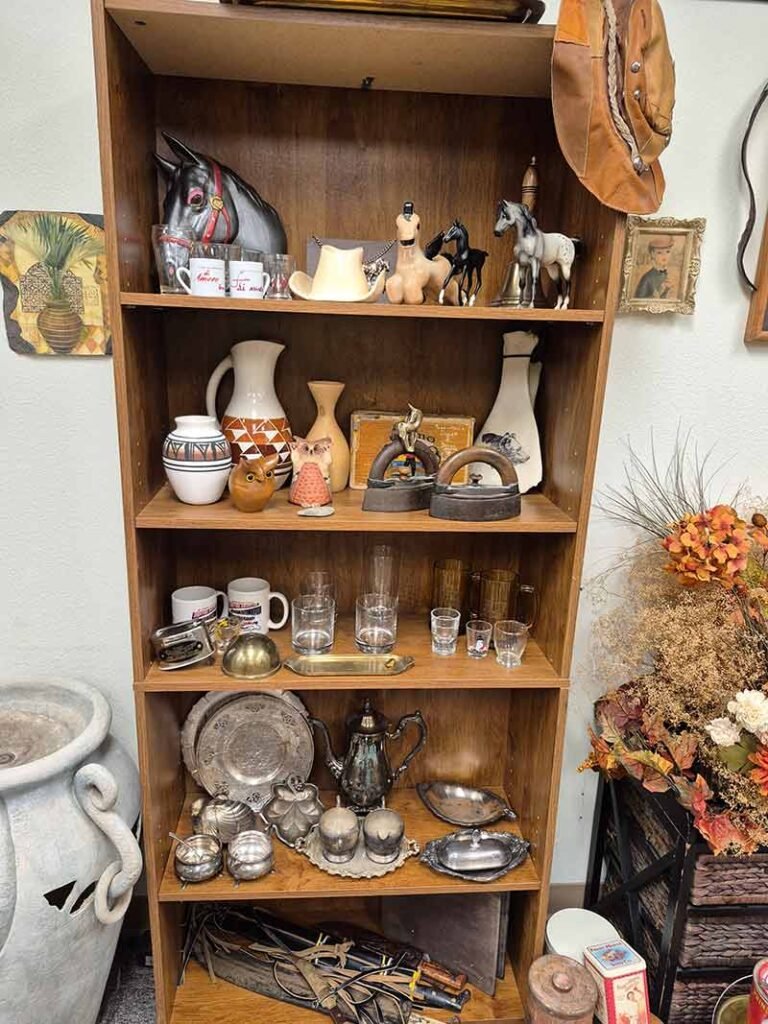 MY WIFE & HER CRAZY IDEAS - mywifeandhercrazyideas.com