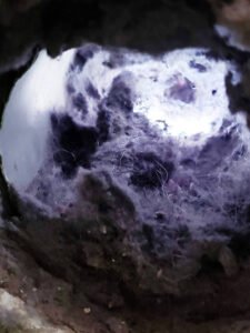 Stone & Son is your BEST Dryer Vent Cleaning Solutions